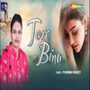 About Tere Bina Song